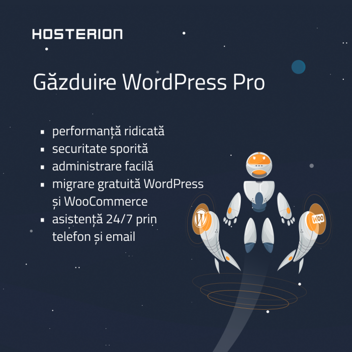 Hosterion a lansat serviciul dedicat de gazduire Wordpress Pro