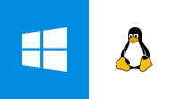 Experiment: am migrat de la Windows 11 la Linux