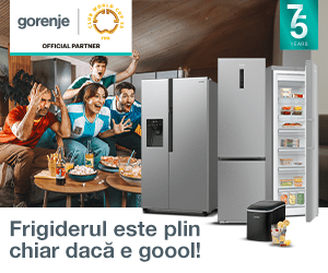Frigidere Gorenje