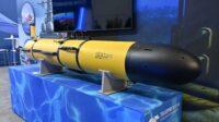 SUA, Marea Britanie și Australia pregătesc drone subacvatice pentru protejarea cablurilor submarine de eventuale sabotaje rusești