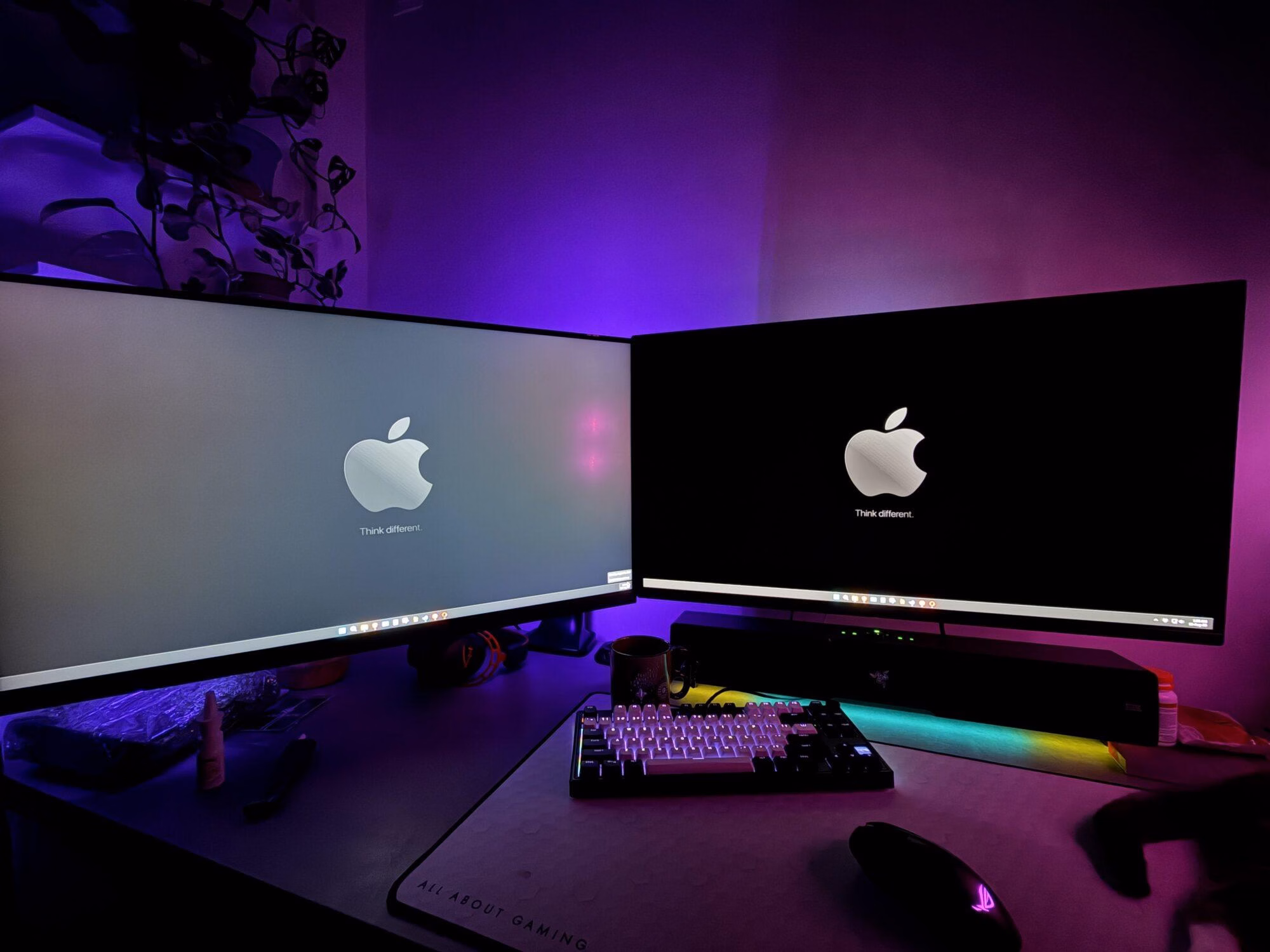 IPS VS OLED